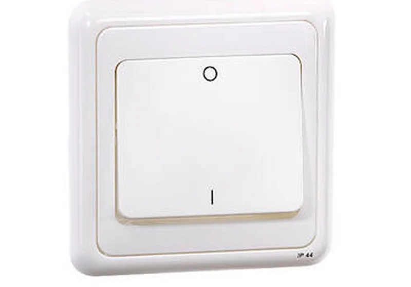翘板开关 flush 安装 IP 44 系列产品