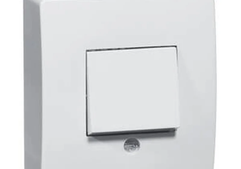 翘板开关 surface 安装 IP 20 系列产品