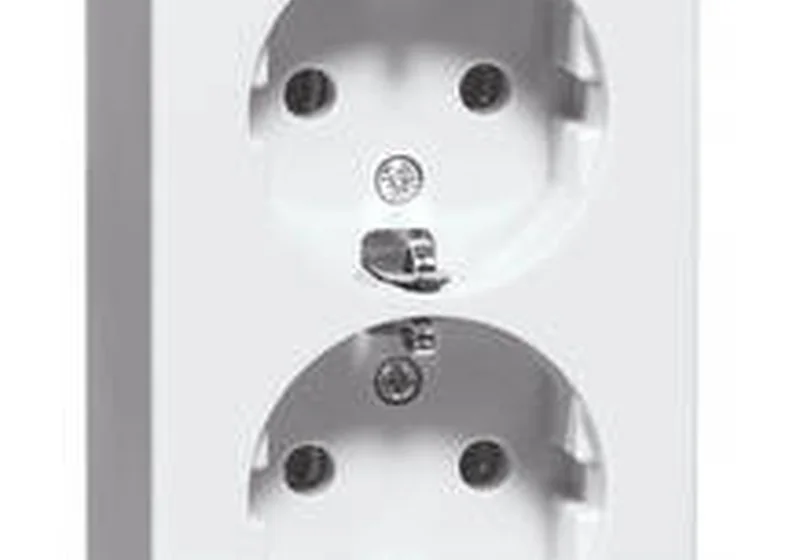 SCHUKO double 插座 surface 安装 IP 20 系列产品